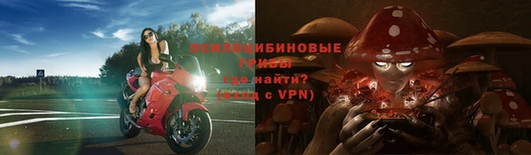 прущие крисы Рославль